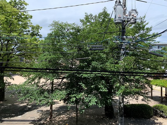 カーサ・アレイ