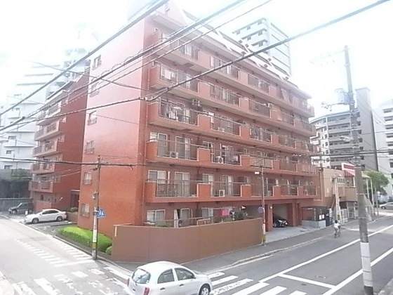 シャンボール国泰寺