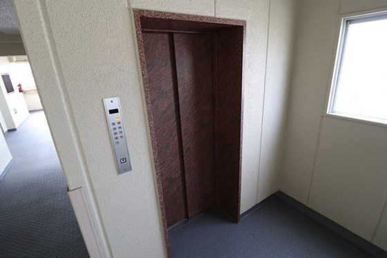 シャンボール国泰寺