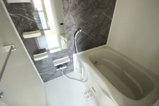 ルミエール五日市駅前Ⅱ