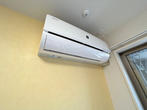 アルフォート中央