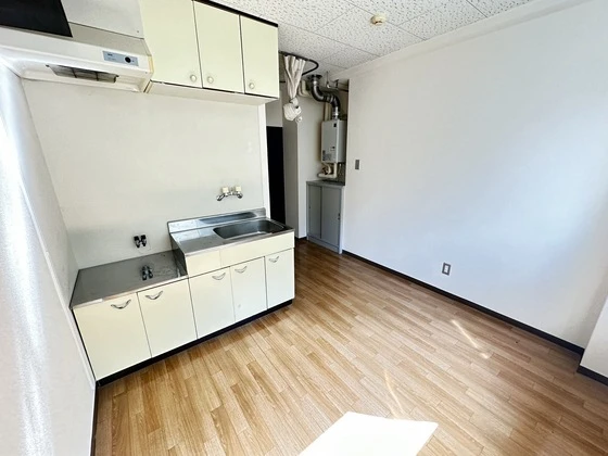 アビタシオン鳩