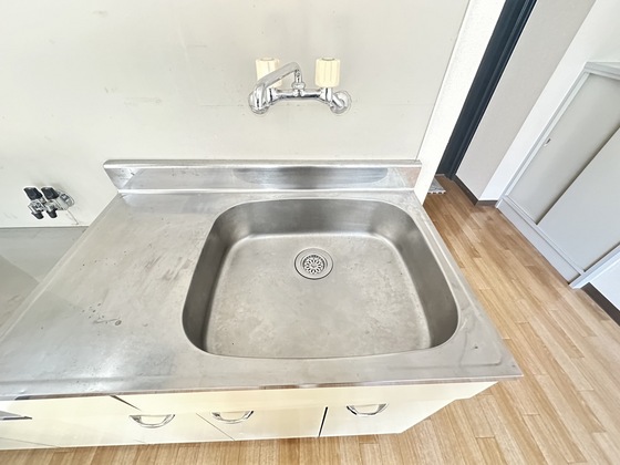 アビタシオン鳩