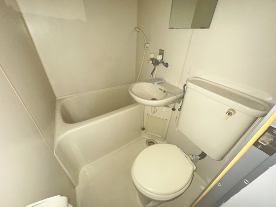 アビタシオン鳩