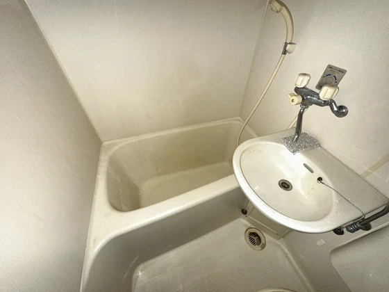 アビタシオン鳩