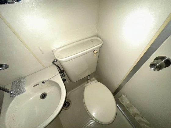 アビタシオン鳩