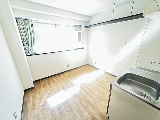 アビタシオン鳩