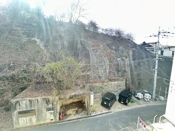 アビタシオン鳩