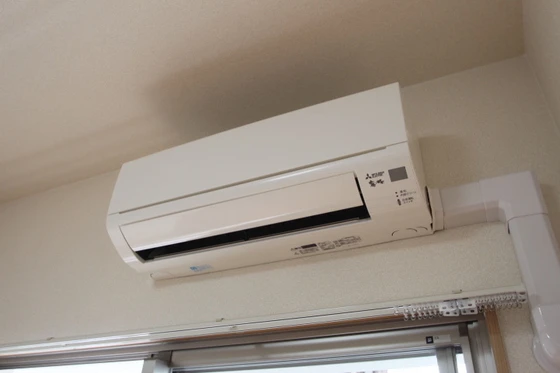 ピュアロイヤル大元