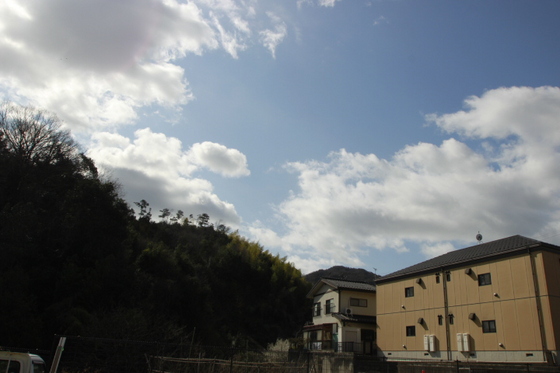 ブロッサム リアサ館