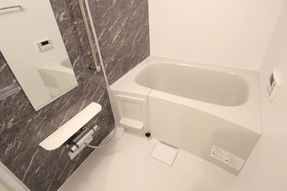 ラ・プラージュⅡ