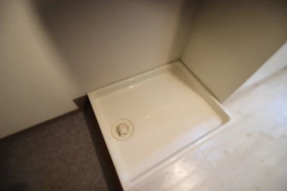 フェニックスマンション