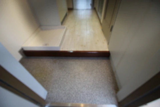 フェニックスマンション