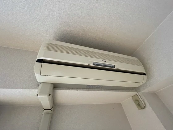 E.プリムローズ