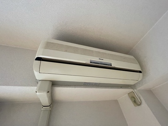 E.プリムローズ