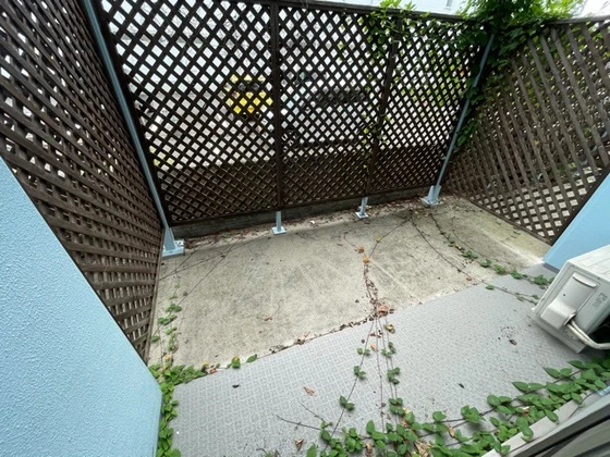 E.プリムローズ