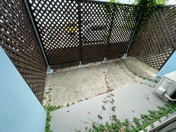 E.プリムローズ