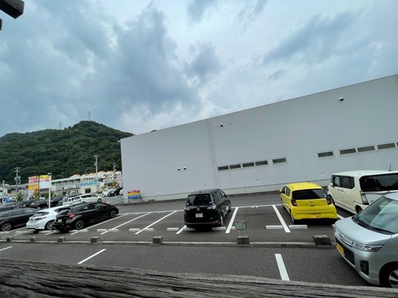 E.プリムローズ