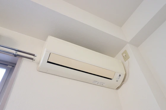 E.プリムローズ