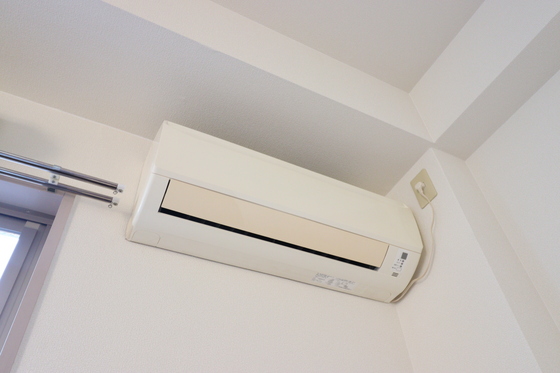 E.プリムローズ