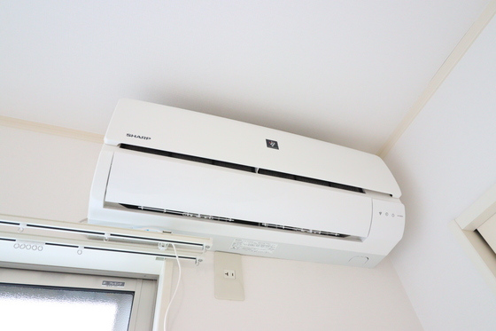 ビーンズアパート