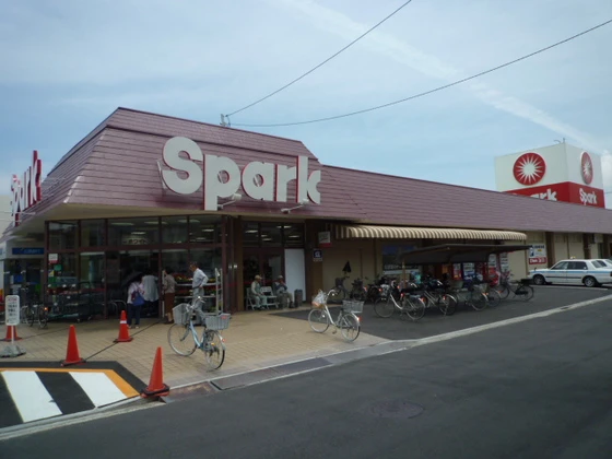 レオパレスきのした荘