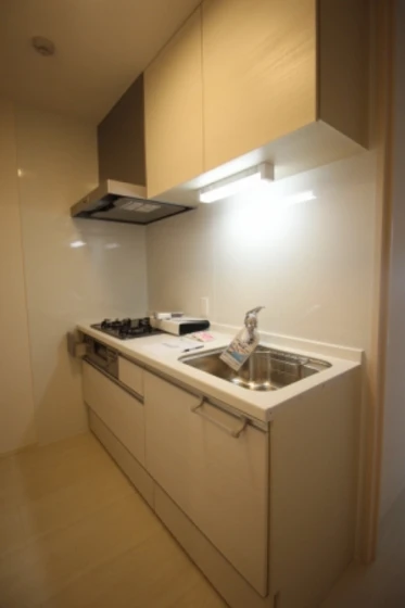 リッツ レジデンス B棟