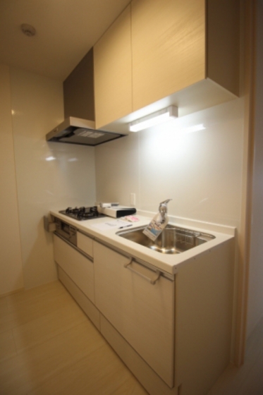 リッツ レジデンス B棟