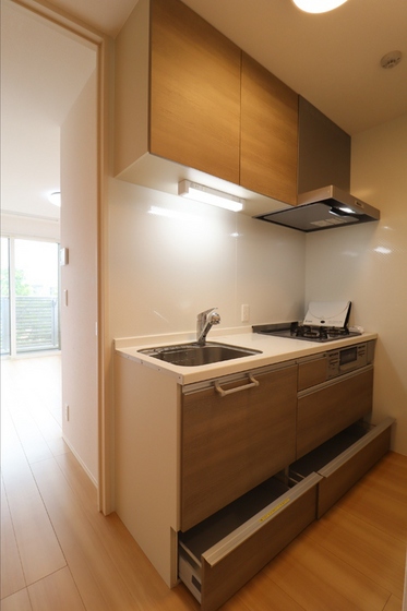 リッツ レジデンス B棟