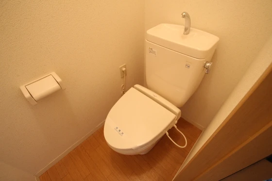 ポテトチップⅡ