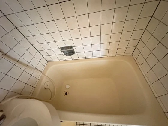 レジェンド船越南