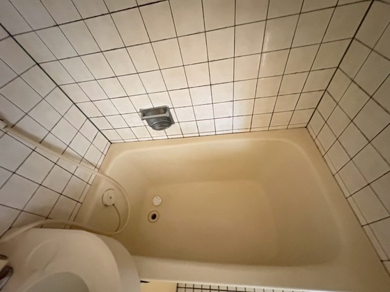 レジェンド船越南