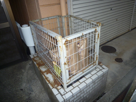 第3福助マンション