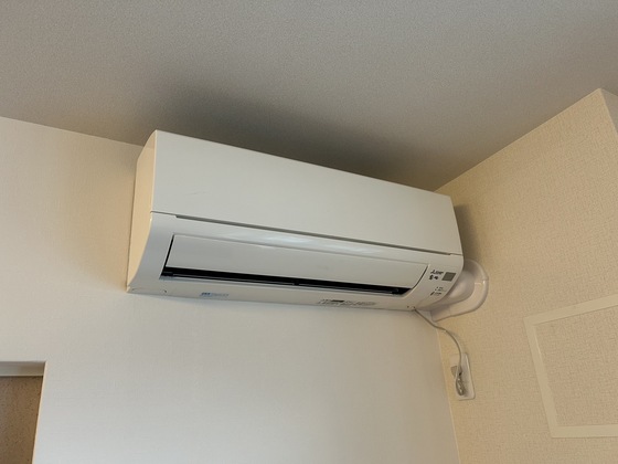 ビー・フォレスト コウゴ