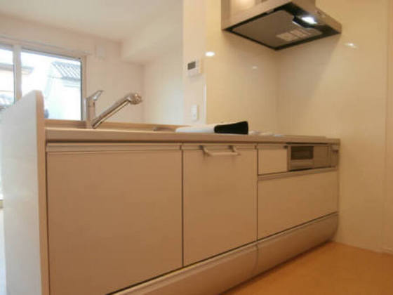 ラフィーネ下中野 A棟