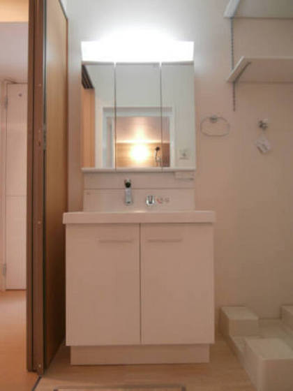 ラフィーネ下中野 A棟