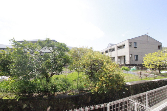 サングレーシア