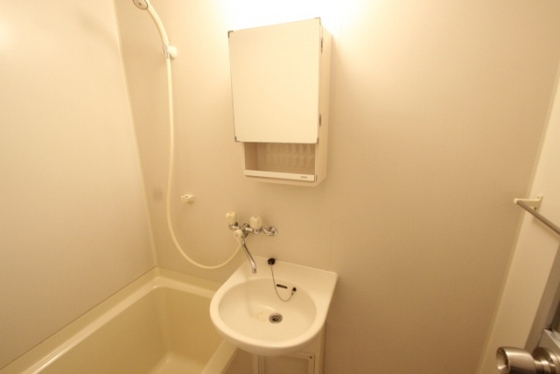 ライネスハイム