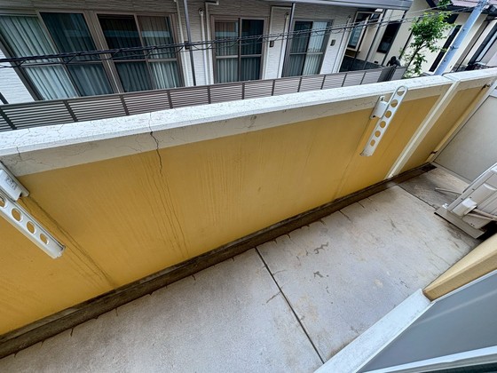 ライネスハイム