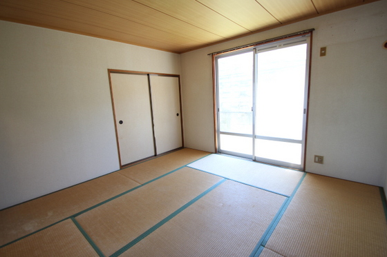 ニューエレガンス