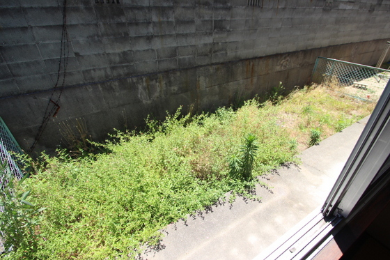 ニューエレガンス