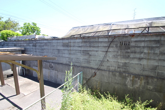 ニューエレガンス