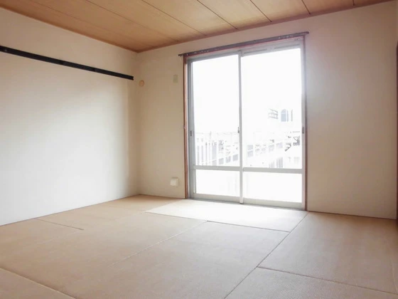 ニューエレガンス