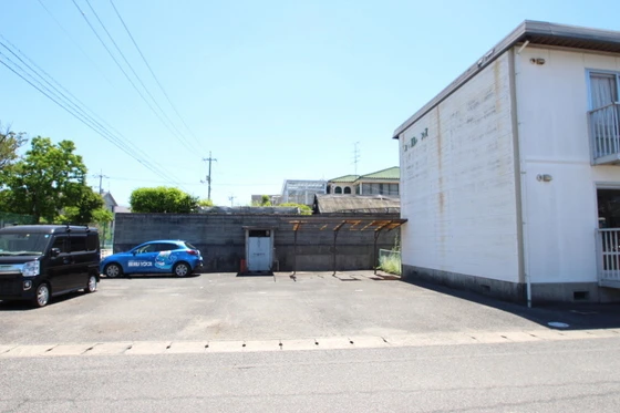 ニューエレガンス