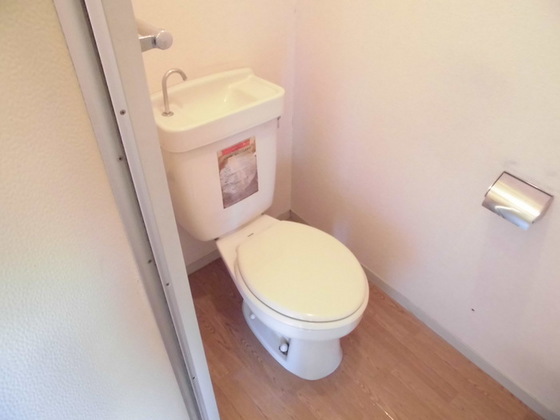 ニューエレガンス