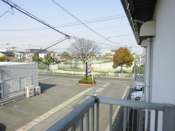 ニューエレガンス