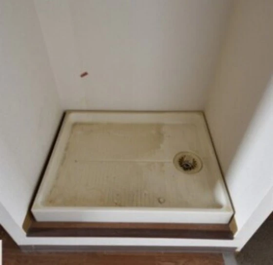 フィネスエトワール