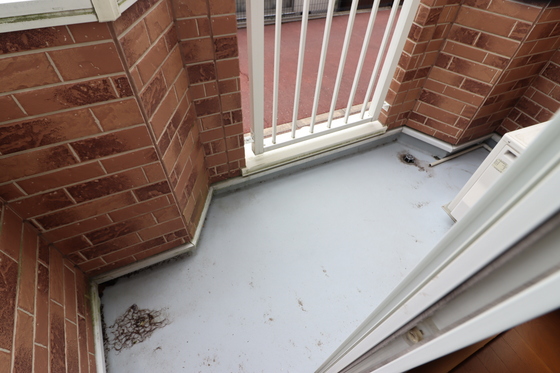 サニーハイツ.T