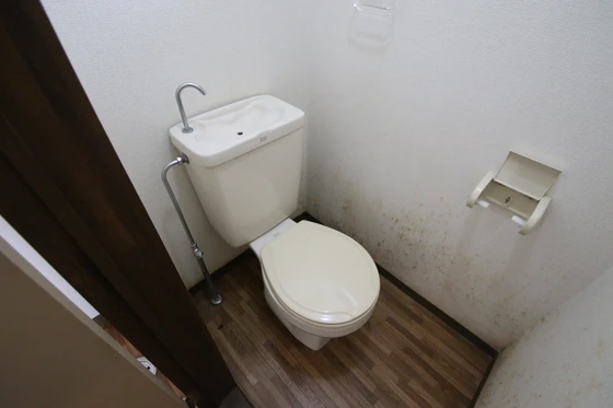 ニューハウン F