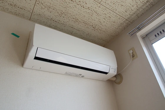 ニューハウン F